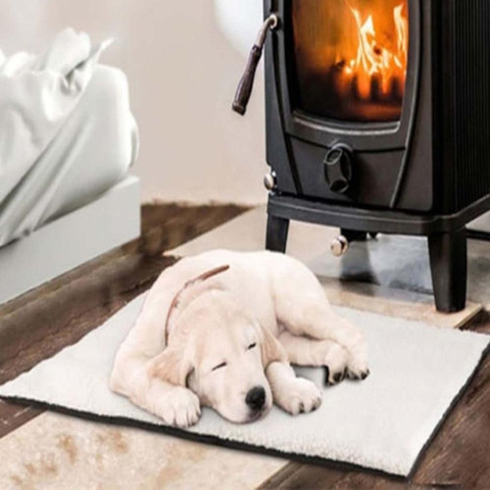 Thermal Paws️ - Self Heating Pet Blanket For Dogs And Cats-0