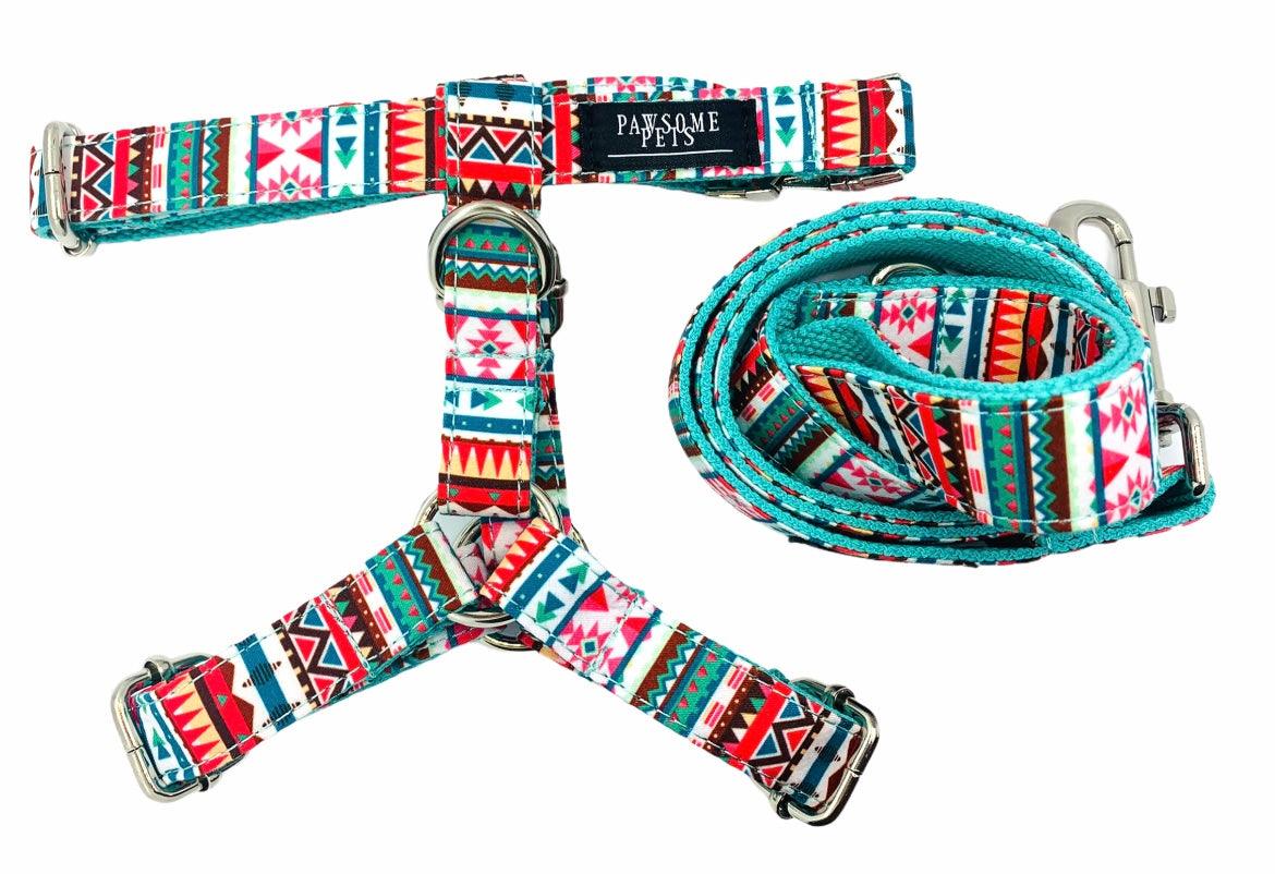 Leash and Harness set -2