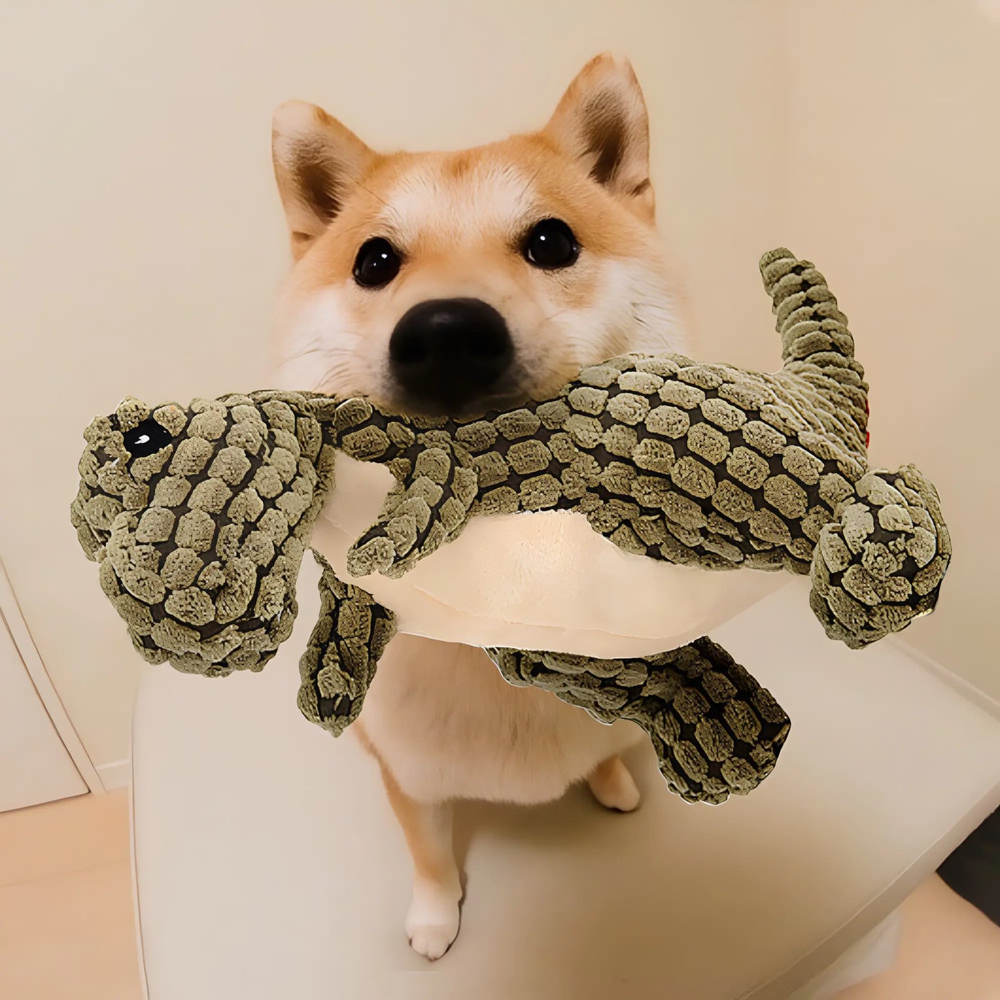 Dinosaur Dog Toy with dog