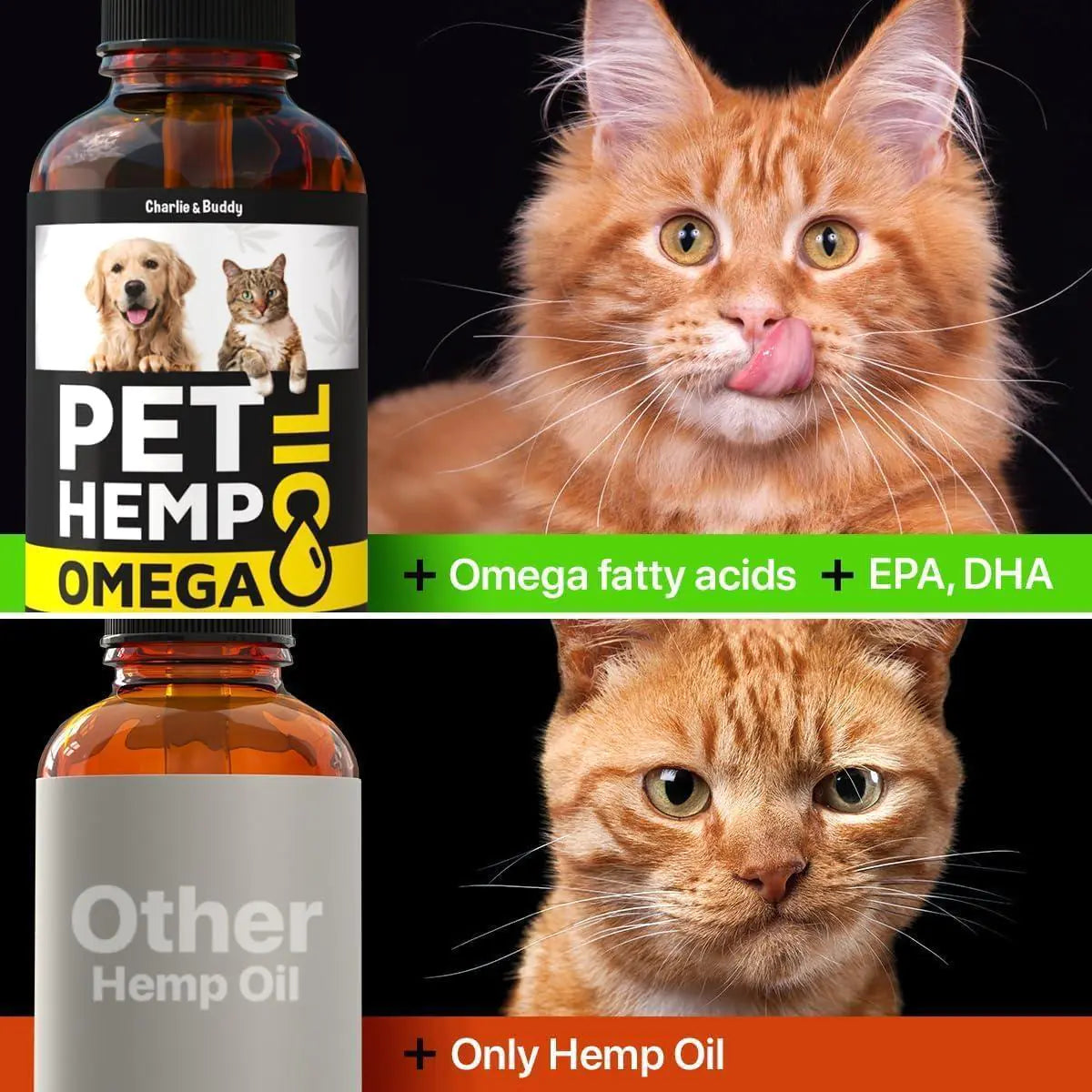 Hеmp and Salmon Oil for Dogs Skin Coat Hеalth. Comparison