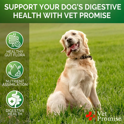 Probiotics for Dogs Digestive Enzymes for Good Health Itchy Skin 120 Chews. Support Digestive health