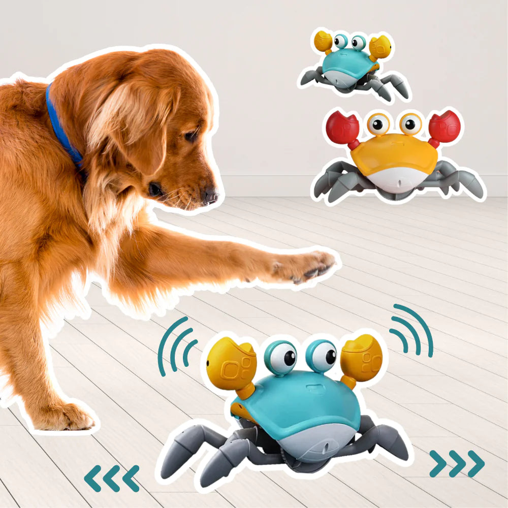 Crawling Crab Automatic Dog Toy movement