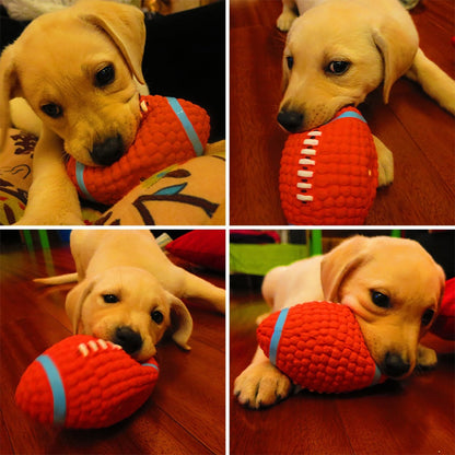 Football with puppy