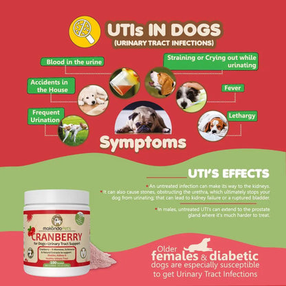 Dog Cranberry Supplement UTI Treatment Symptoms