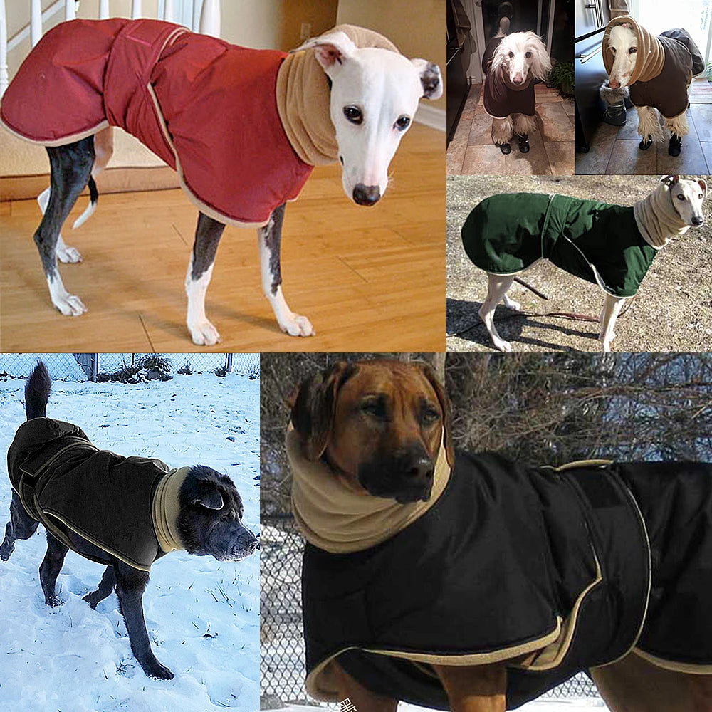 Super Warm Thick Dog Coat. Shown on dogs