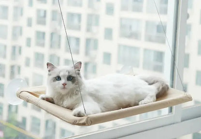 Cat Window Hammock -1