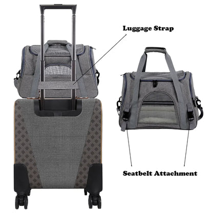 luggage strap and seatbelt attachment