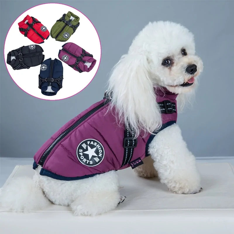 Pet Harness Vest Clothes shown on a small dog