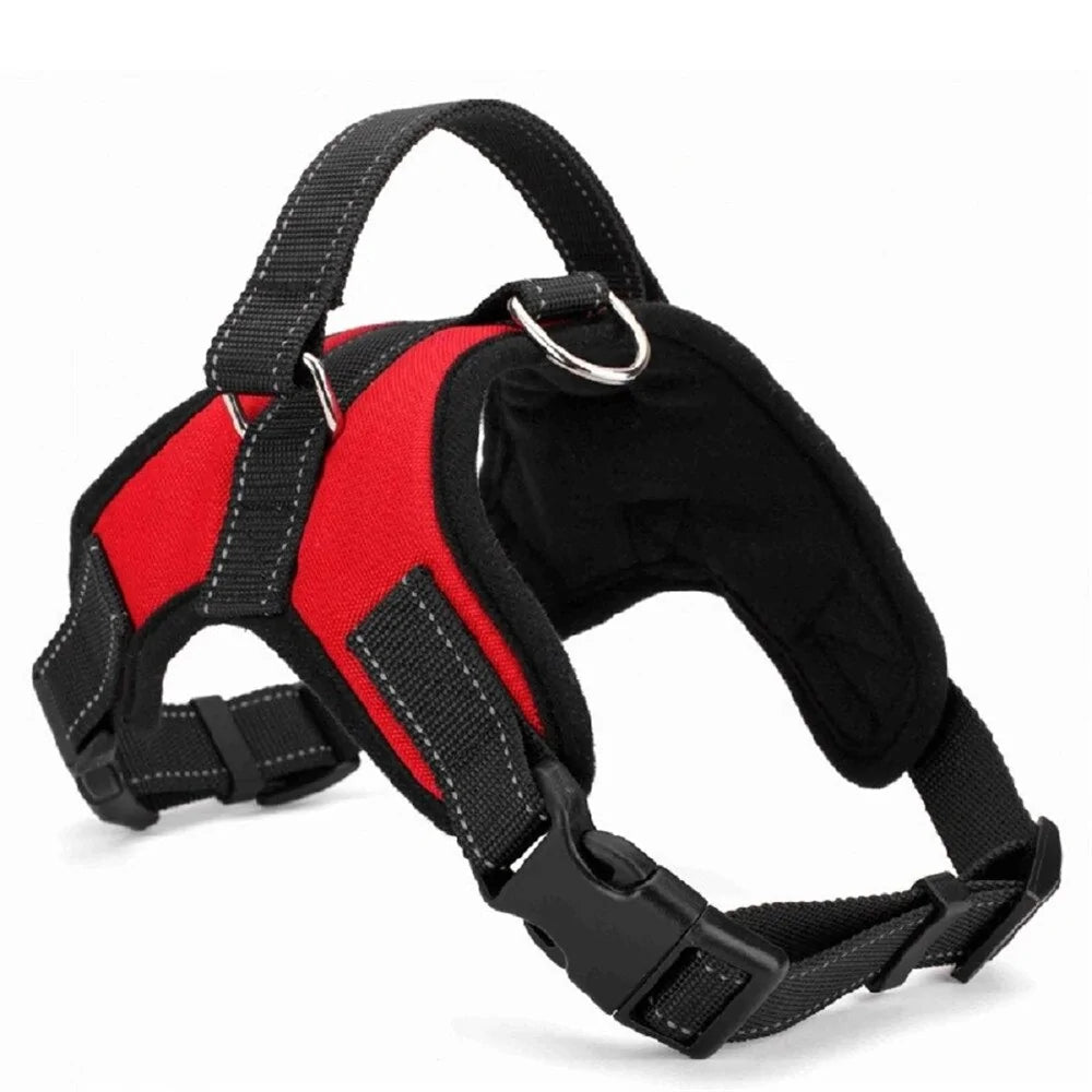  Dog Harness Collar. Red closeup.