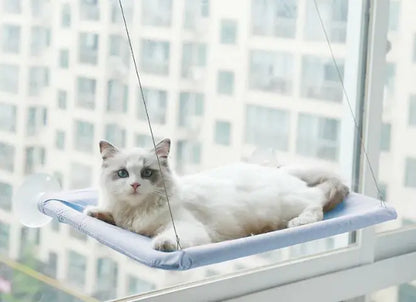 Cat Window Hammock blue