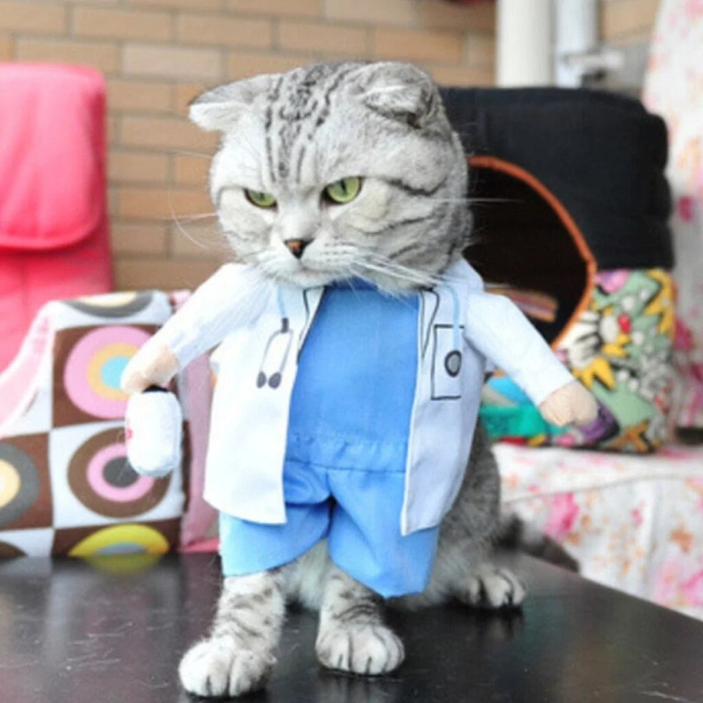  Dog And Cat Costume doctor cat