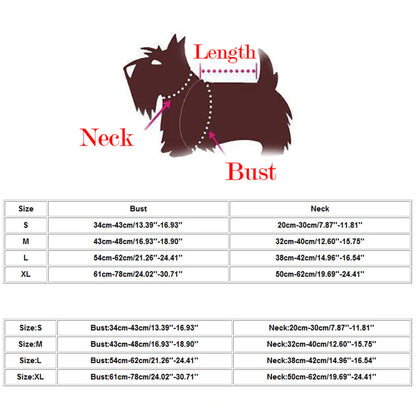  Costume size chart