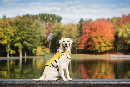 GF DOG Life Vest: Keep Your Dog Safe, Secure, and Comfortable on the Water. On a dog by a lake