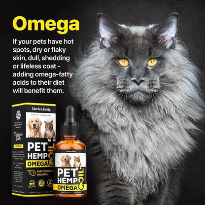  Dogs and Cats Skin Coat Hеalth