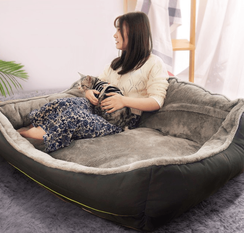 Luxury Pet Haven: Plush Polyester Sofa Bed For Dogs-5