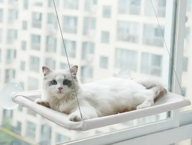 Pet Window Hammock white