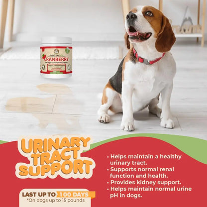 Dog Cranberry Supplement   Natural Dog UTI Treatment & Kidney Support for Dogs.