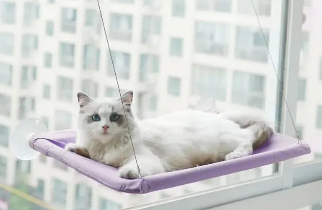 Cat Window Hammock -2