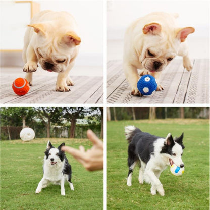 Squeaky Dog Toys -4