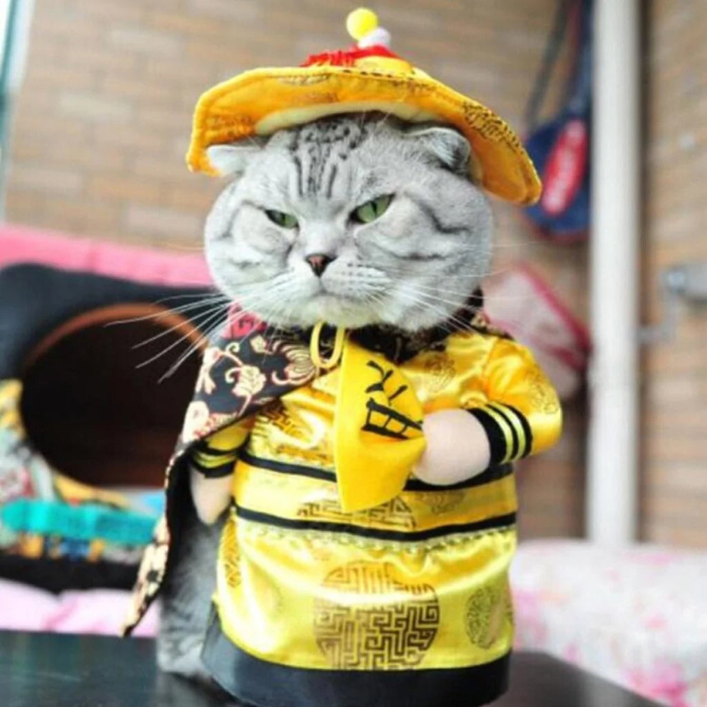  Dog And Cat Costume Chinese cat