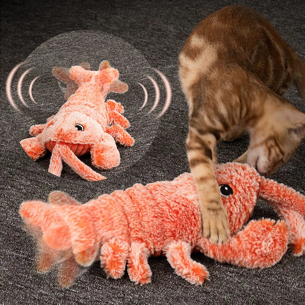 Cat Toy