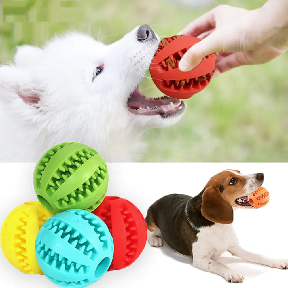 Rubber Balls Chewing Pet Toy. Shown with dogs