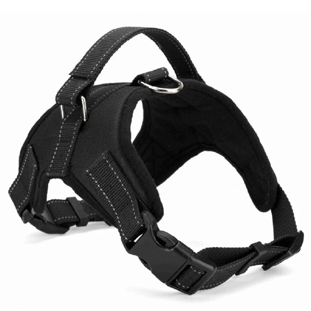 Dog Harness Collar. Black closeup