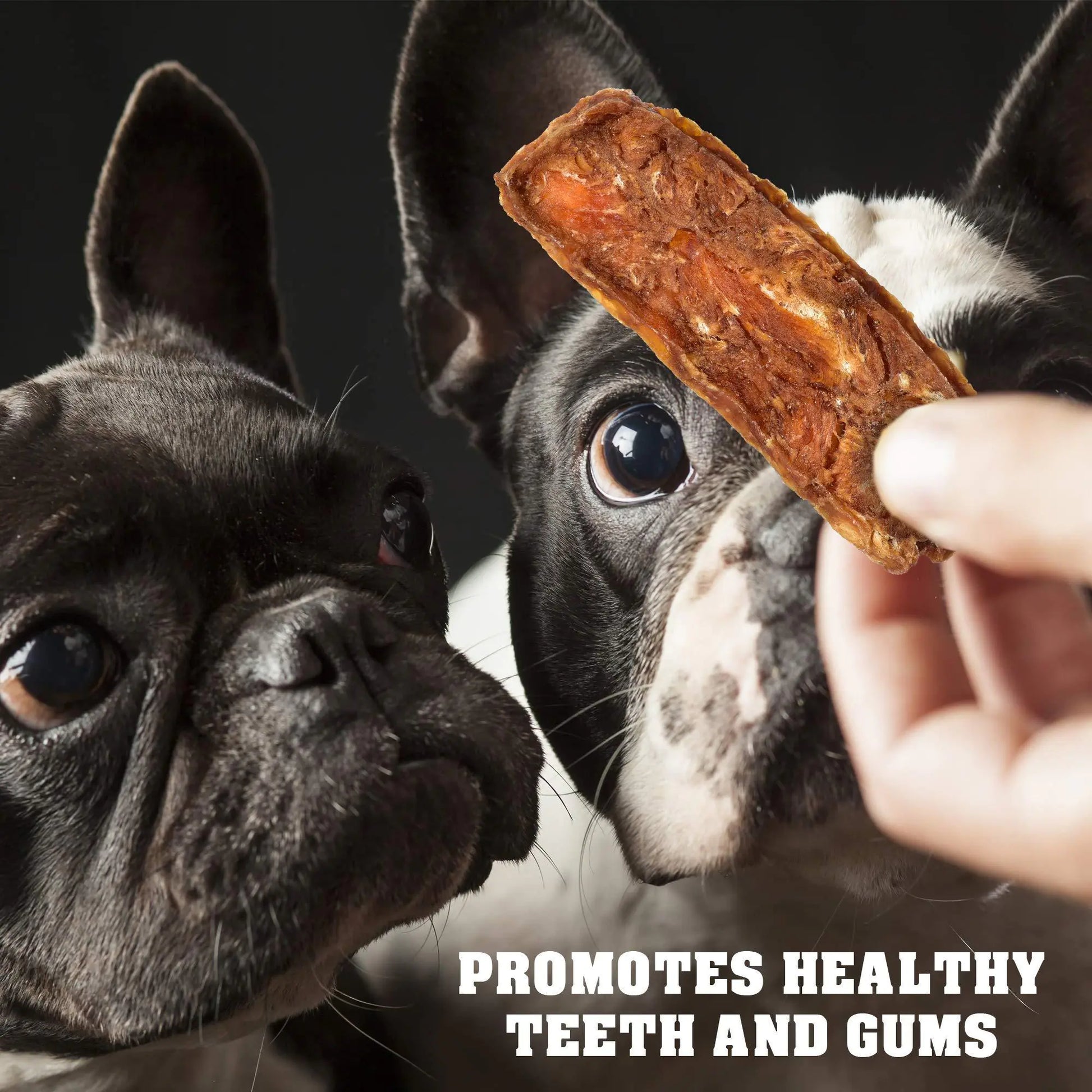  Chicken Jerky Dog Treats healthy gums and teeth