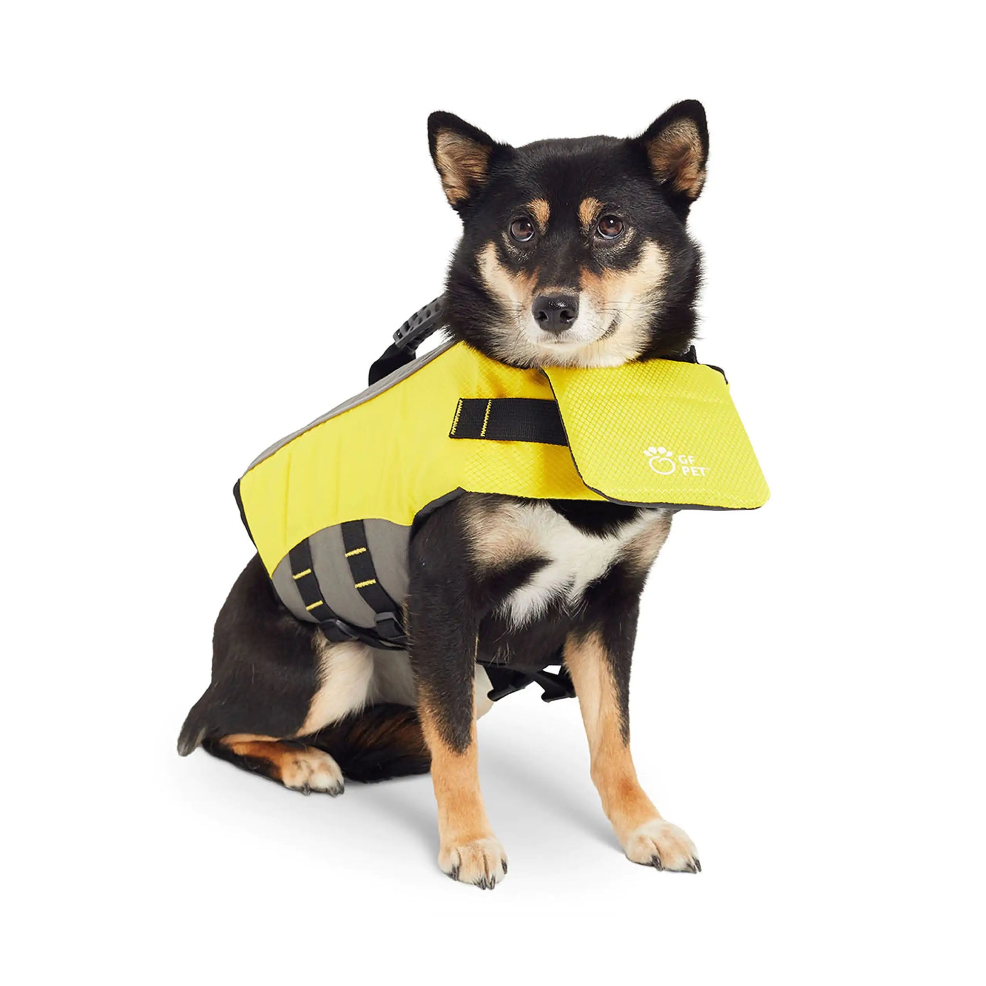 GF PET Life Vest: Keep Your Dog Safe, Secure, and Comfortable on the Water. on a dog