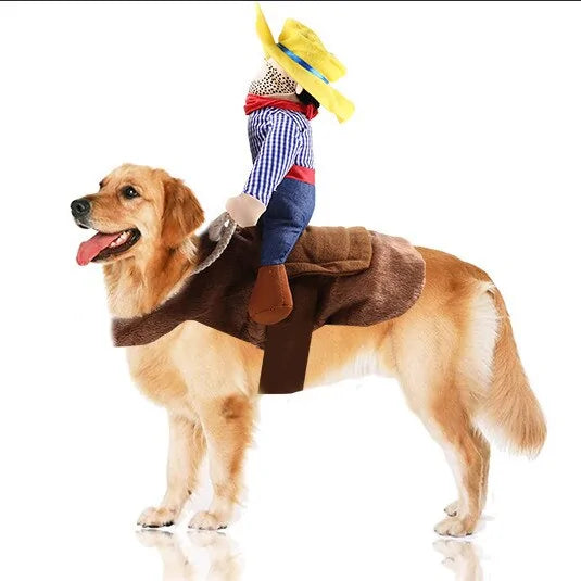  Dog And Cat Costume -4