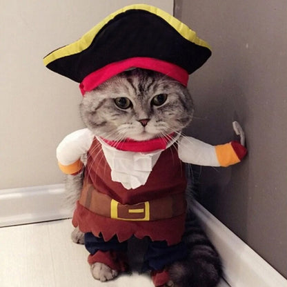   cat pirate